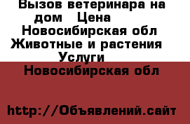 Вызов ветеринара на дом › Цена ­ 500 - Новосибирская обл. Животные и растения » Услуги   . Новосибирская обл.